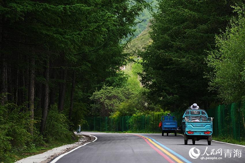 蜿蜒的山路。人民網(wǎng) 陳明菊攝